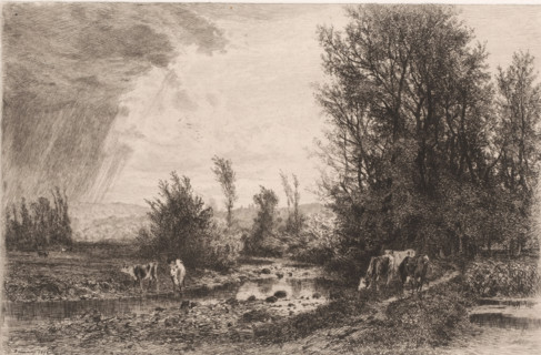 Landscape with cows along a brook, print, printmaker: Alfred Alexandre Delauney, France, 1872,
