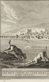 The Two Dogs and the Dead Donkey. Fable CLXVII, The Dogs and the Donkey, print, Two dogs are
