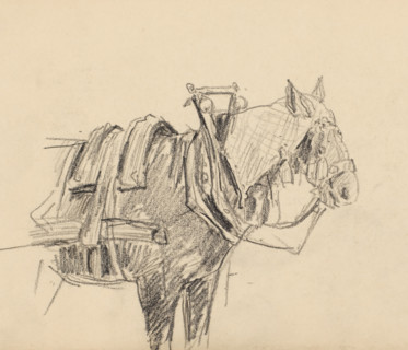 Harnessed cart horse, drawing, draftsman (artist): Pieter HJJ Ras, 1903-07-02, draftsman (artist),