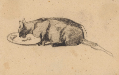 Cat licking a plate, drawing, draftsman (artist): Guillaume Anne van der Brugghen, 1821 - 1891,