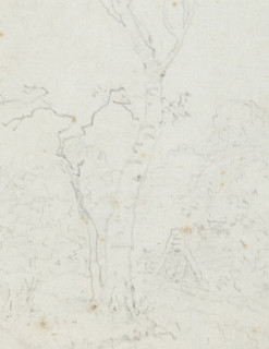 Landscape with widely branched tree, drawing, Album page with landscape with widely branched tree.,