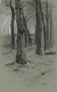 Group of trees, drawing, draftsman (artist): Willem Witsen, 1870 - 1923, draftsman (artist),