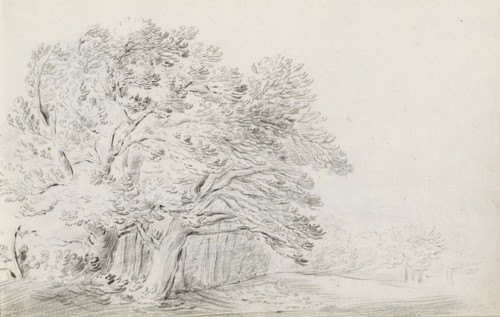 Landscape with group of trees, sketchbook page, Page 14 recto from a sketchbook with 39 pages.,