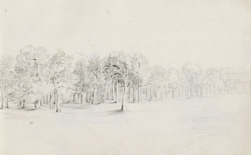Forest edge, sketchbook page, Page 24 recto from a sketchbook with 39 pages., draftsman (artist):