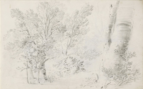 Forest landscape, sketchbook page, Page 34 recto from a sketchbook with 39 pages., draftsman