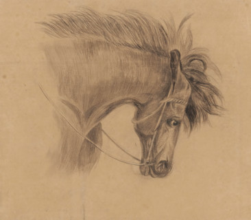 Head of a horse, facing right, drawing, draftsman (artist): Johannes Tavenraat, 1819 - 1881,