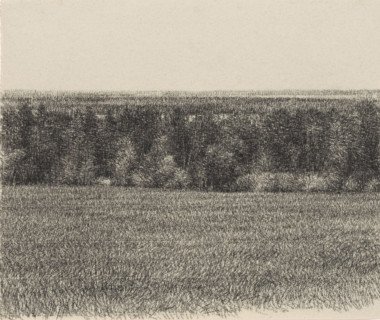 Veld en boschage, drawing, signature: 'KEES STOOP', draftsman (artist): Kees Stoop (signed by