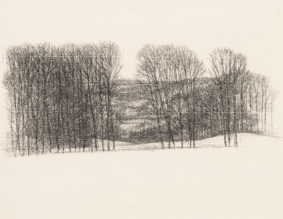 Trees in rolling landscape, drawing, draftsman (artist): Kees Stoop, 1939 - 2009, draftsman