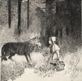 Little Red Riding Hood and the Wolf, drawing, book illustration (design), In the forest, Little Red