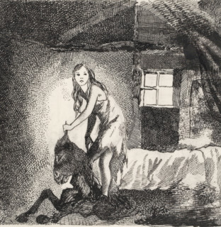 Princess with the skin of a donkey, drawing, book illustration (design), A princess stands in a