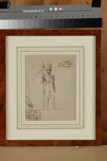 Croquis à l'encre d'un porte-aigle