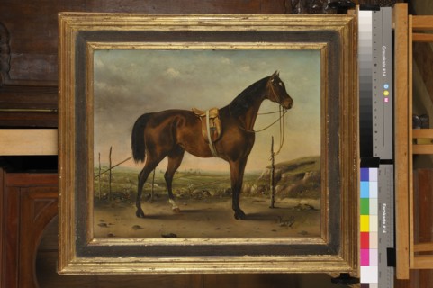 Louis Vernanchet, "Pur sang de l'empereur Napoléon III"