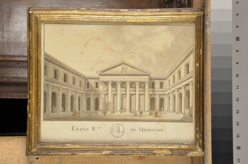 Ecole française, "Ecole royale de médecine"