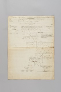 Généalogie de la famille Bonaparte