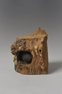 Boulet de Waterloo incrusté dans un morceau d'arbre