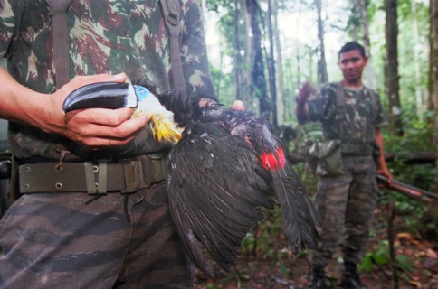 French Guyana Army 9Th Marine Infantry Regiment