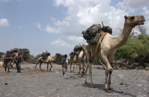 Djibouti Foreign Legion