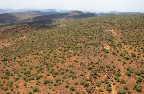 DJIBOUTI REPORTAGE
