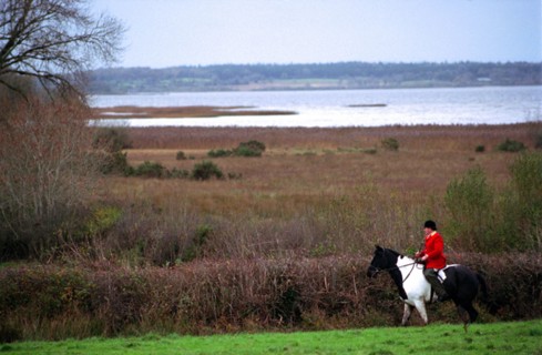 Chasse à courre