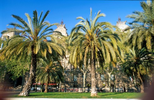Park of  Ciutadella