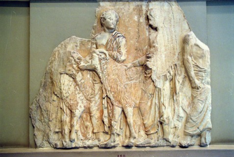 MUSEE DE L'ACROPOLE