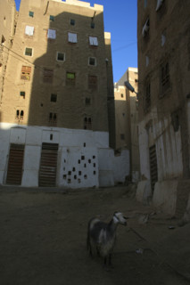 Yemen