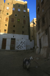 Yemen