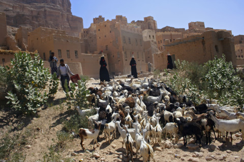 Yemen