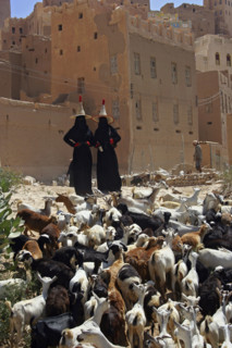 Yemen