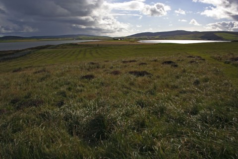 SCOTLAND