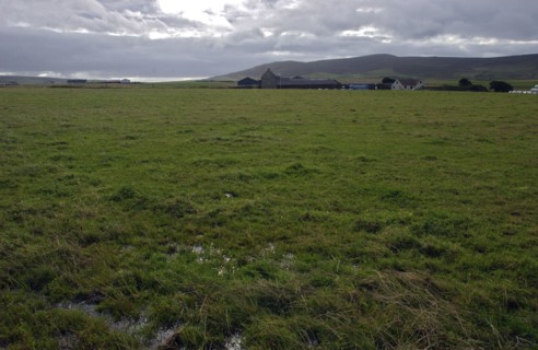 SCOTLAND