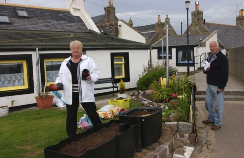 ECOSSE