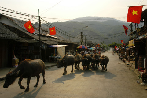 VIETNAM LAI CHAU
