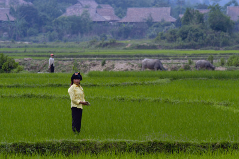 VIETNAM DIEN BIEN PHU