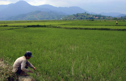 VIETNAM DIEN BIEN PHU