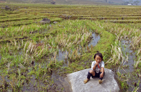 Vietnam