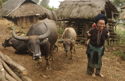 Vietnam