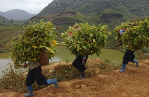 VIETNAM