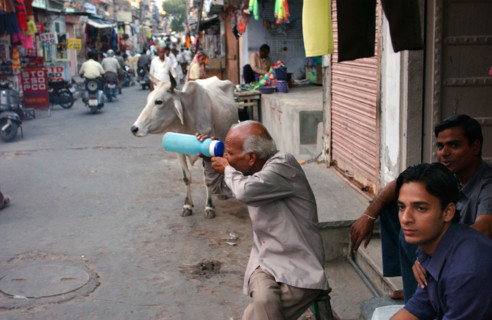 INDE