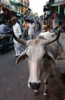 INDE