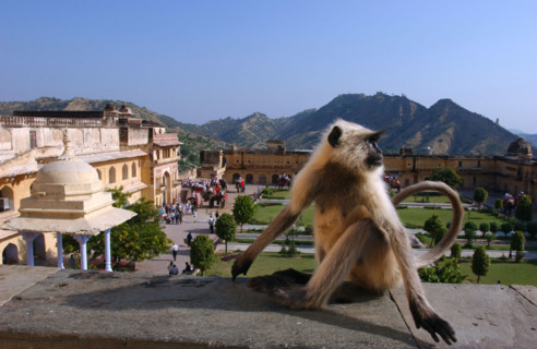 INDE