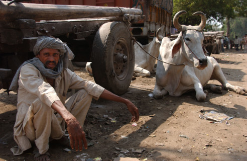 INDE