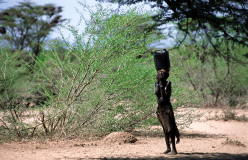 AFRIQUE ETHIOPIE PREHISTOIRE