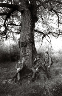 Army Parachutists France