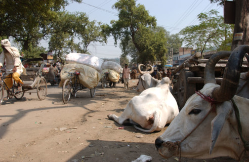 Agra - India - Society