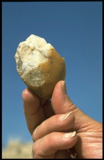 Africa Prehistory