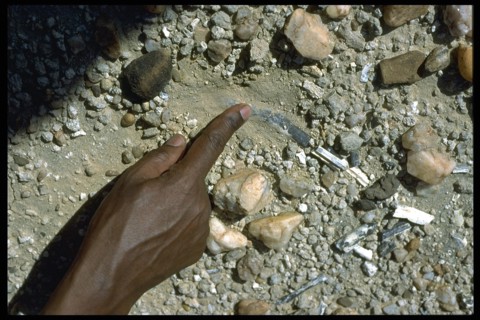 Africa Ethiopia Prehistory