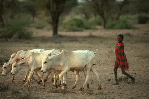 Africa Ehtiopia Prehistory