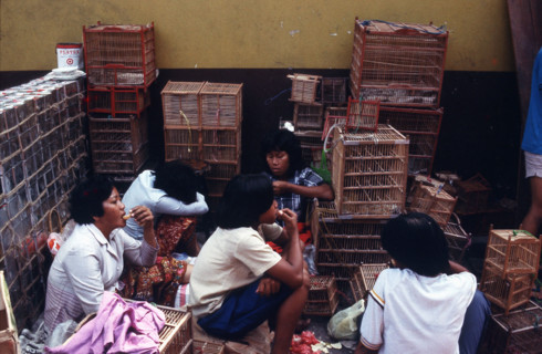 BANGKOK-THAILANDE- SOCIETE
