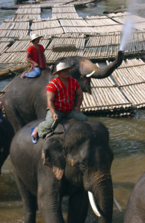 CHIANGMAI-THAILANDE-SOCIETE-TOURISME